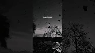 Tu Hai Kahan X Remake Version L Milo Tum Fir Se Ek Dafa L Lyrics L