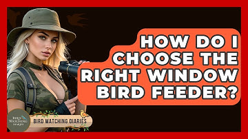 How Do I Choose The Right Window Bird Feeder? - Bird Watching Diaries