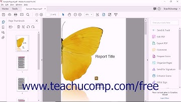 Acrobat Pro DC Changing the Page Number Display  - Adobe Acrobat Pro DC Training Tutorial Course