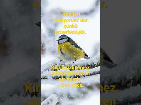 Sevmek(Can Yücel)
