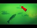 Underwater Fluke Fishing with NEW Rigging Tricks For Deeper Water!