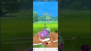 Seviper, Cottonee killa!