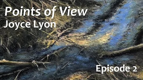 "Points of View" by Joyce Lyon  - Episode 2