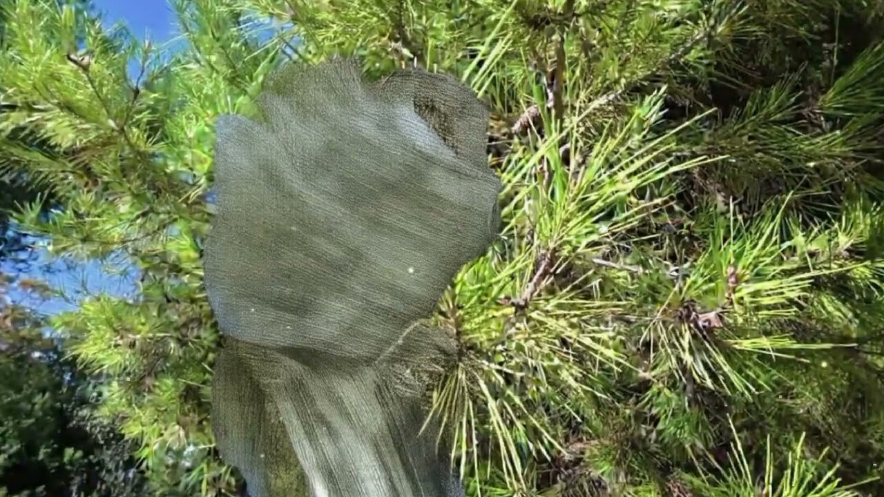 МУЖ ЗАПРЕЩАЛ ТРОГАТЬ ЕГО НОУТБУК. НО КОГДА Я ЗАБРАЛА ЕГО ИЗ РЕМОНТА И ВКЛЮЧИЛА, Я ПОНЯЛА ПОЧЕМУ...