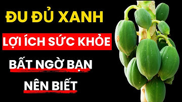 lợi ích của đu dủ xanh đối với sức khỏe bạn nên biết, sống khỏe mỗi ngày