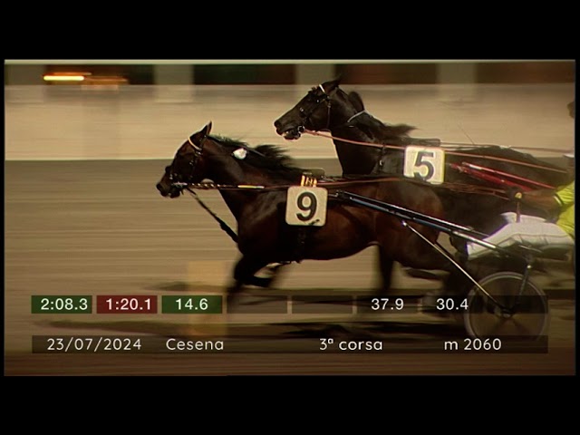 2024 07 23 | Corsa 3 | Metri 2060 | Premio Cesenatico Camping Village - Tomaso Grassi Award 2024