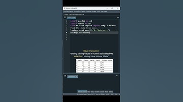 How to Handle MISSING VALUES in Data?| Mean Imputation using python | Data Preprocessing| Nancy Jane