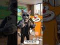 billu meets jack  #cat #jack #oggyandthecockroaches #shorts #shortsfeed #aivideo