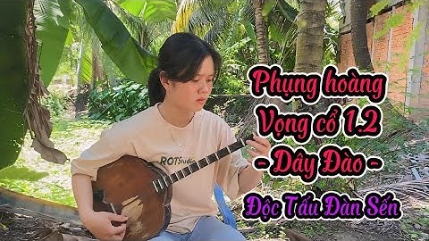 Cẩm Tiên Độc Tấu Đàn Sến - 12 Câu Phụng Hoàng & Vọng cổ 1,2 (Dây Đào)