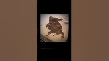 Thumbnail of Toma toma #cachorro#fyp