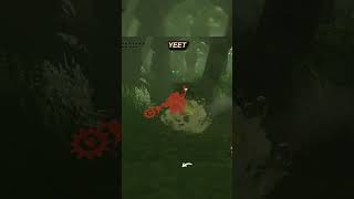 YEET #zelda #totk
