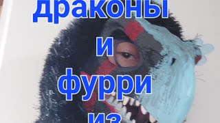 драконы и фурри из тик тока