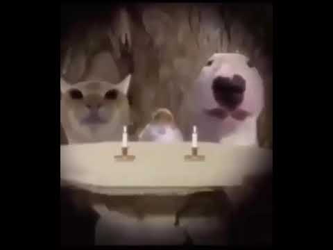 Idk what meme this is lol #3 