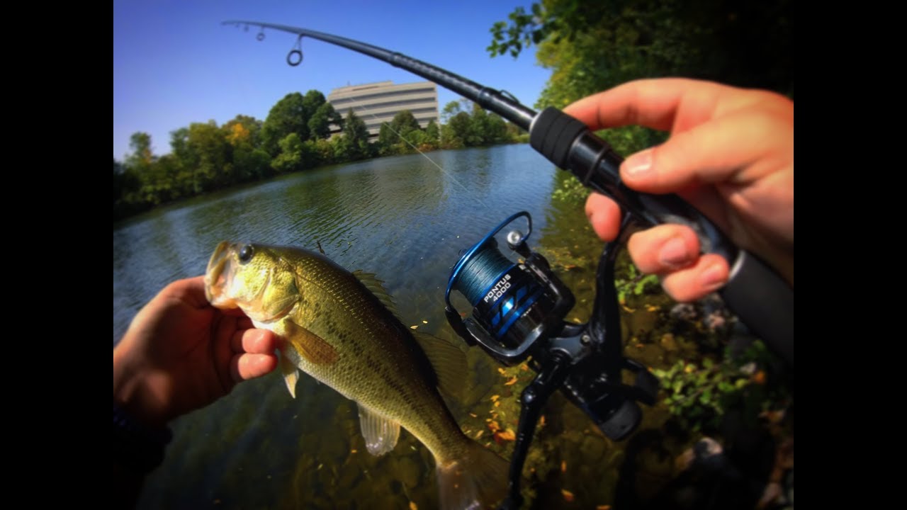 Best Live Bait Bait Feeder Reel For Under 40 Kastking Pontus