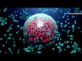 Understanding Vaccines