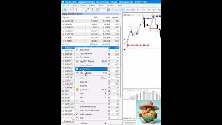 Celebrity MetaTrader 5 symbol specification Profile