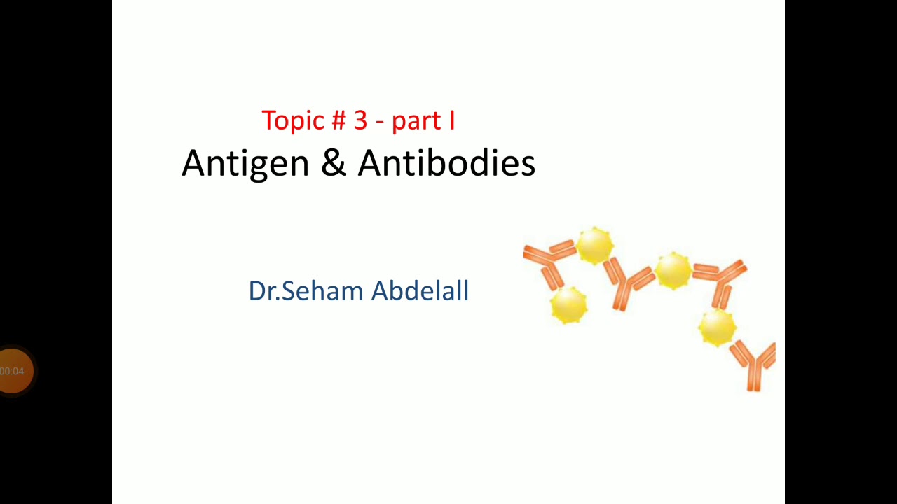Antibodies and Antigens/Immunology YouTube