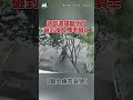 物流貨車"追殺式倒車"撞斷路樹 騎士慘遭擊落！倒地痛苦哀號 #shorts