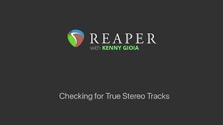 Checking for True Stereo Tracks in REAPER screenshot 4