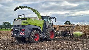 Maïs 2025 | Claas Jaguar 1200 | 14 row | Big capacity | 5x Three-Axels | Maize harvest | Rachow