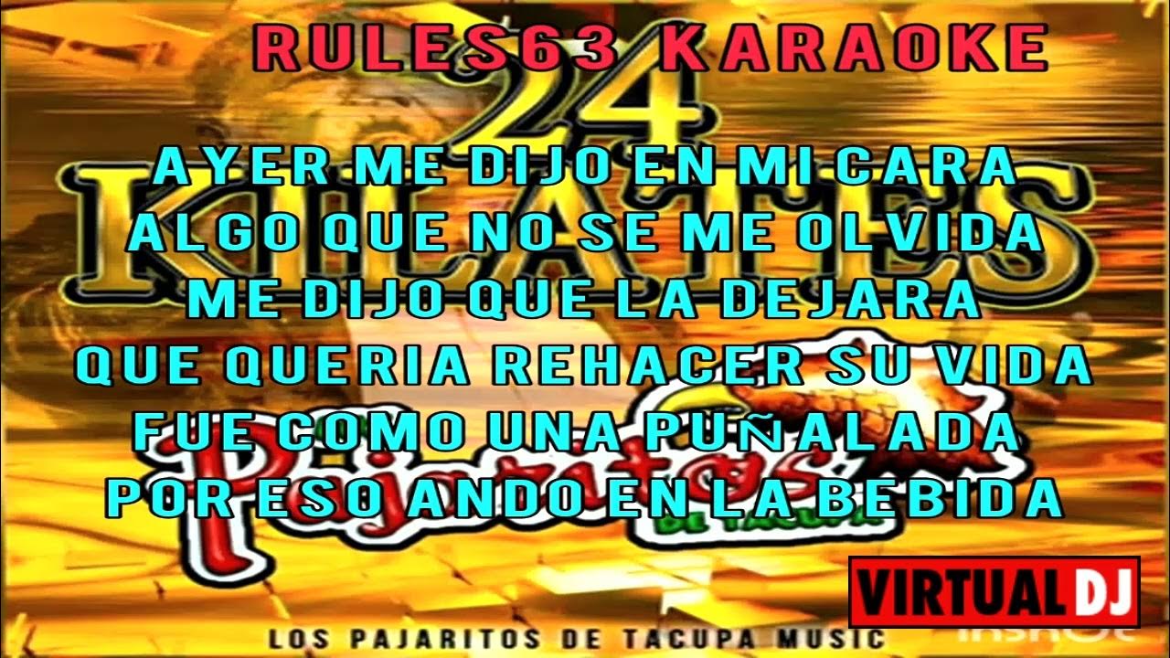 AMIGO MESERO Los Pajaritos de Tacupa karaoke dev SG AMIGO MESERO Los Pajaritos de Tacupa karaoke dev SG