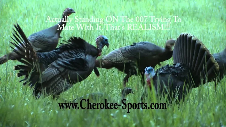 Jason Lankford Turkey Hunt
