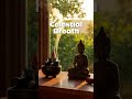Find Your Zen with Sacred Healing Sounds 🕉️
