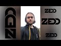 Zedd performed at my Bat Mitzvah!!!