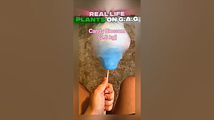 Real Life Grow a Garden #roblox #growagarden #shorts