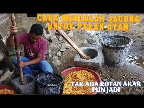 Video: 5 Cara Memasak dengan Cendawan