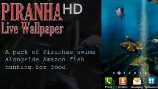 Piranha Live Wallpaper HD screenshot 2