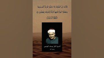 🔥❤ البهتيمي ذو الحنجرة الفولاذية - سورة النمل #quran #islam