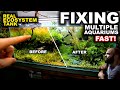 FIXING MULTIPLE AQUARIUM FAST! Maintenance Required: Ecosystem, Rainbow, Realistic Apistogramma