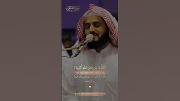 مَثَلُ الَّذِينَ اتَّخَذُوا مِن دُونِ اللَّهِ أَوْلِيَاءَ - شیخ رعد محمد الکردی آیه ۴۱ سورة العنکبوت