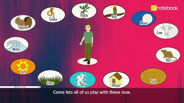 CBSE | Class-3 | EVS | Web of Life