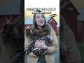 friendliest chickens