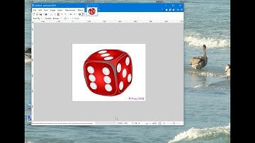 Make a signature in Code Lab in Paint.net.