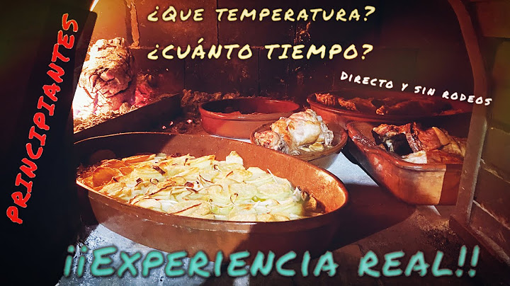 COMO APRENDER A COCINAR EN HORNO DE LEÑA🔥SIN TENER NI IDEA OS CUENTO MI EXPERIENCIA (sin rodeos)