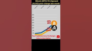 Bitcoin VS Algorand crypto 🔥 Bitcoin price 🔥 Algorand news 🔥 Bitcoin news 🔥 Btc price Algorand price