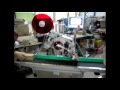 Automatic  Box Labeling Machine