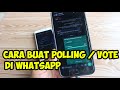 cara membuat polling di whatsapp