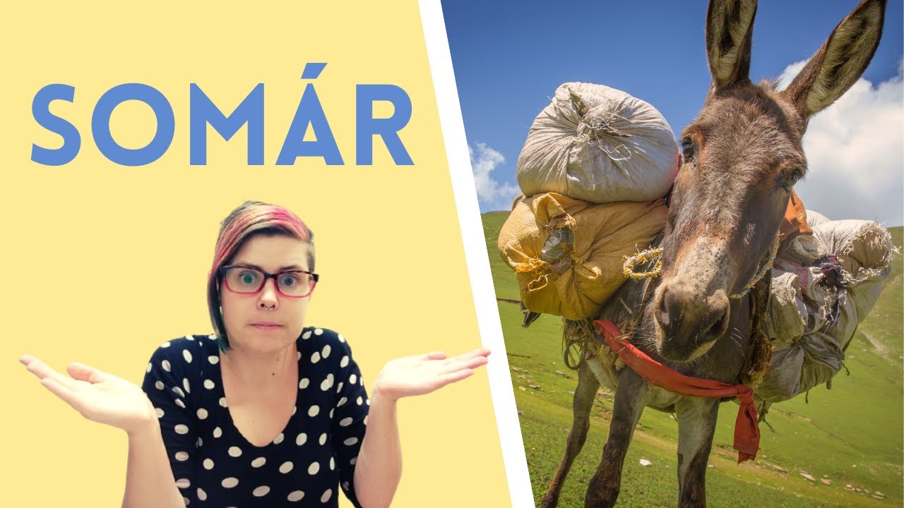 Learn Slovak with Stories: Muž, chlapec a somár