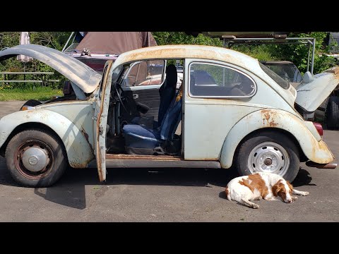 Nobody Wants a Rusty Bug @2stroketurbo