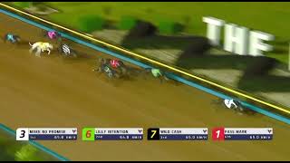 Palawa King - Fireball Heat Win - On This Day In 2024