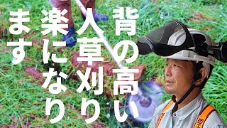 背の高い人必見！楽に草刈りができる方法をプロの造園家に教えてもらいました。