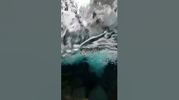 واتس اب قران كريم القارئ ياسر الدوسري من سورة (الرعد)