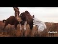 الخاطر شهي فاالبر طاسا خضري