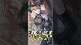 [НЕМНОГО ЗА ЛОР: ASSIMILTED UNIVERSE | ARKNIGHTS: ENDFIELD] #arknightsendfield #endfieldcreators