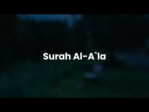           مهدي الشيشاني سورة الأعلى