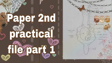 Structure and functions of invertebrates practical file (m.sc zoology in hindi)